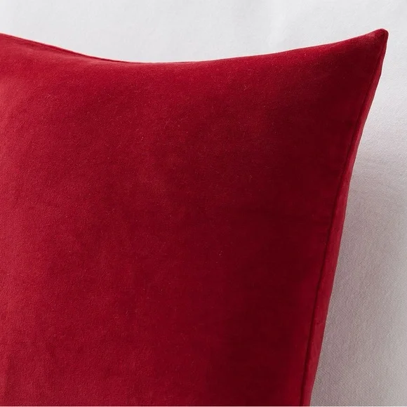 Pottery Barn Everywhere Velvet Pillow With Down Alternative Insert - Picture 2 of 4